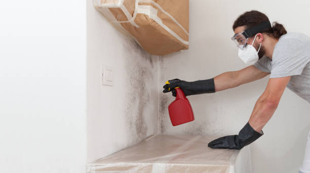 Professional Commercial Mold Remediation technician working in Fort Lee, VA