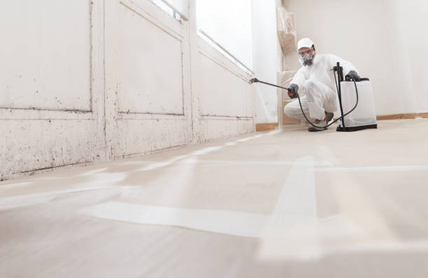 24/7 Emergency Commercial Mold Remediation experts in Fort Lee, VA