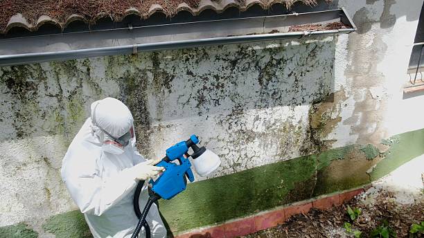 Top rated local Commercial Mold Remediation specialists in Fort Lee, VA